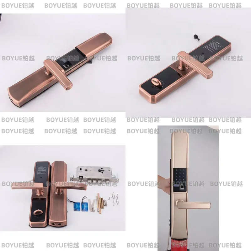Home Security Lock System - Çinko Alaşımlı Sürgülü Kapaklı Parmak İzi