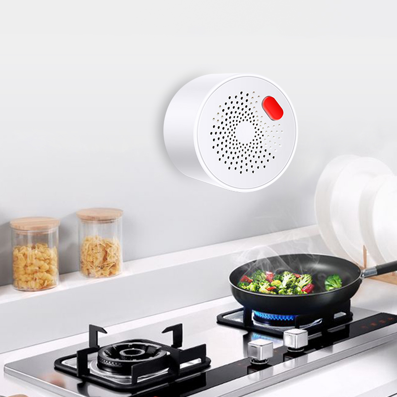 Tuya akıllı ev Wifi doğal gaz  - Home Security Gadgets incelemesi ve fiyatı