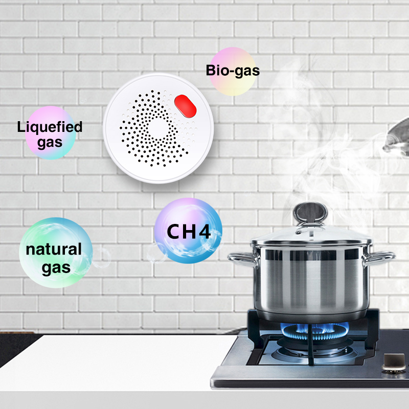 Tuya akıllı ev Wifi doğal gaz  - Home Security Gadgets incelemesi ve fiyatı