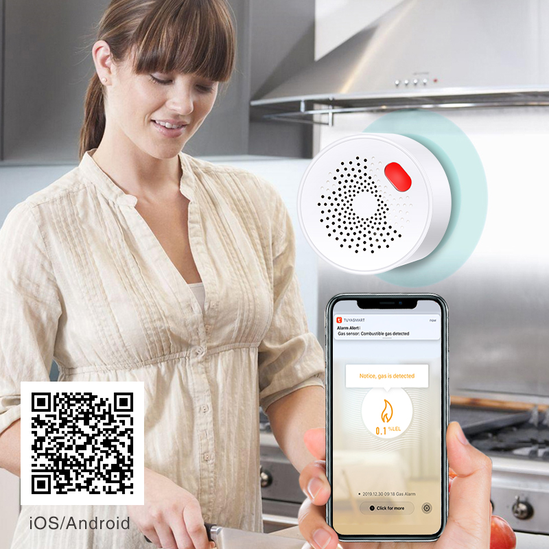 Tuya akıllı ev Wifi doğal gaz  - Home Security Gadgets incelemesi ve fiyatı